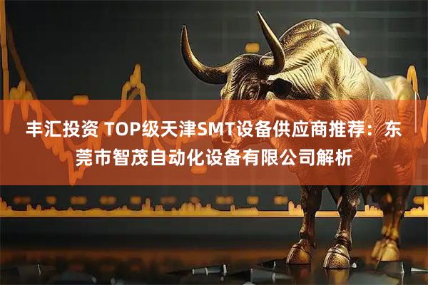 丰汇投资 TOP级天津SMT设备供应商推荐：东莞市智茂自动化设备有限公司解析