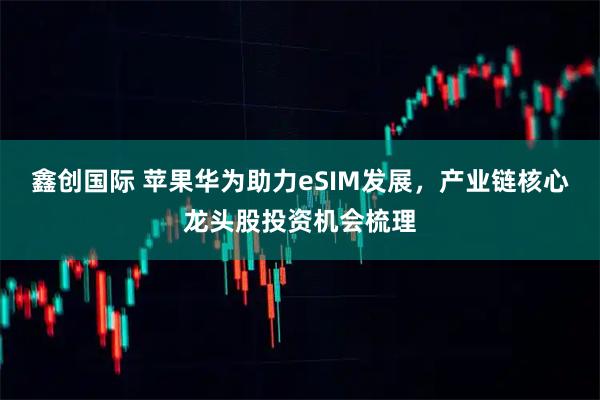鑫创国际 苹果华为助力eSIM发展，产业链核心龙头股投资机会梳理