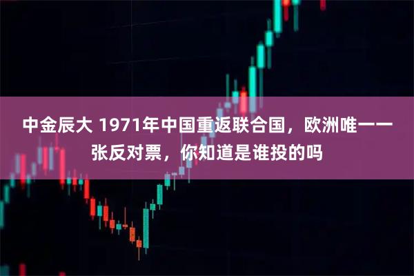中金辰大 1971年中国重返联合国，欧洲唯一一张反对票，你知道是谁投的吗