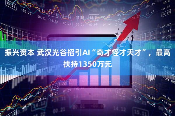 振兴资本 武汉光谷招引AI“奇才怪才天才”，最高扶持1350万元