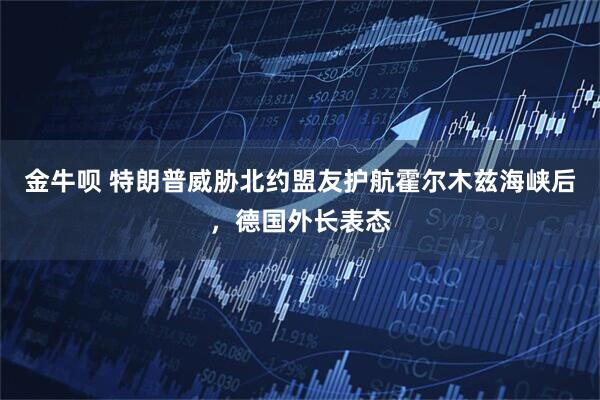 金牛呗 特朗普威胁北约盟友护航霍尔木兹海峡后，德国外长表态