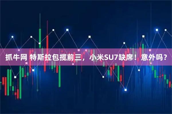 抓牛网 特斯拉包揽前三,小米SU7缺席!意外吗?