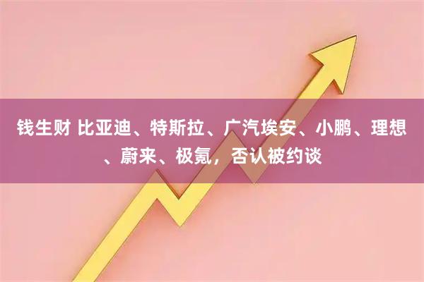 钱生财 比亚迪、特斯拉、广汽埃安、小鹏、理想、蔚来、极氪，否认被约谈
